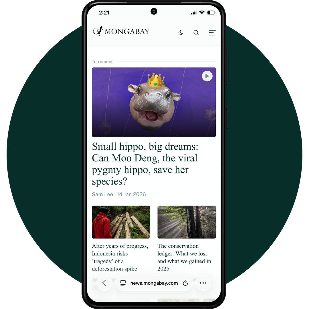 undefined mobile app mockup