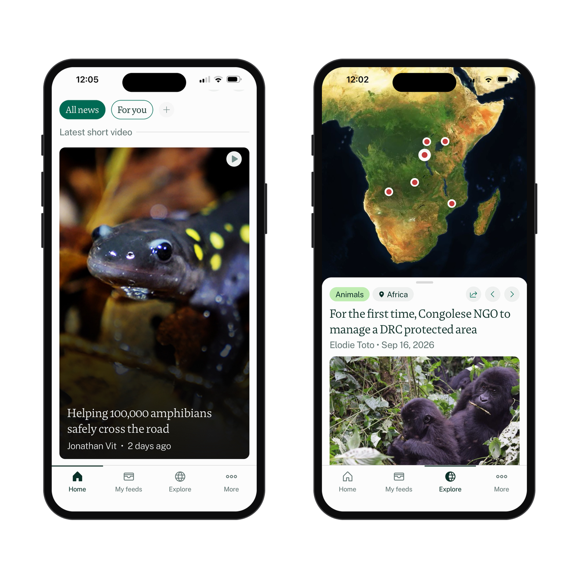 Two smartphone screens displaying Mongabay's app: Left shows an amphibian crossing story; right shows a map with an article on DRC conservation.