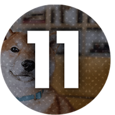 11 office doggos