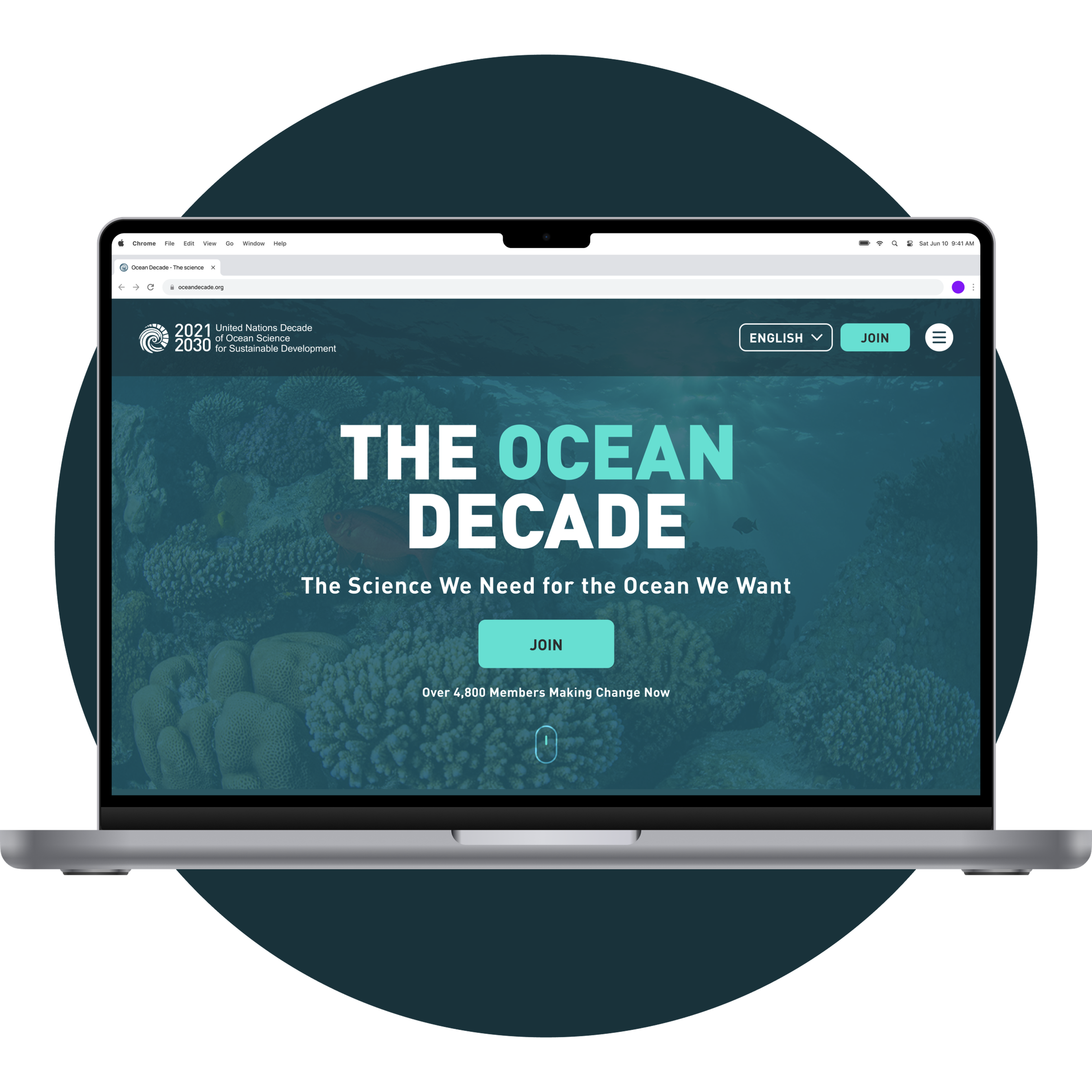 The Ocean Decade platform.