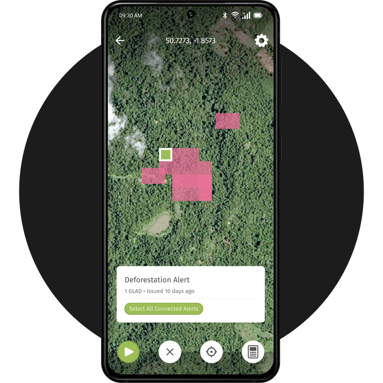 Forest Watch App Tracking Page