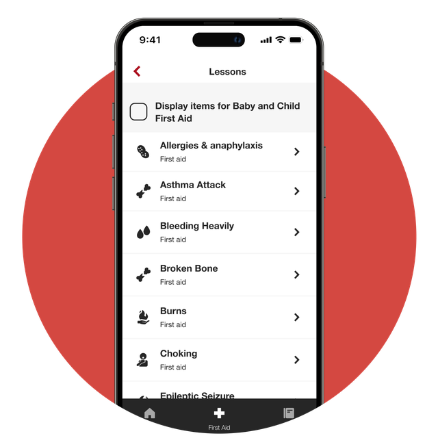 Phone screen displaying the various lessons available in the app.