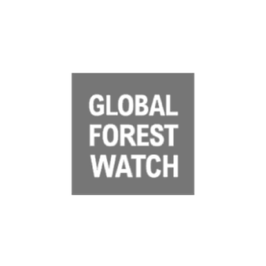 Global Forest Watch logo