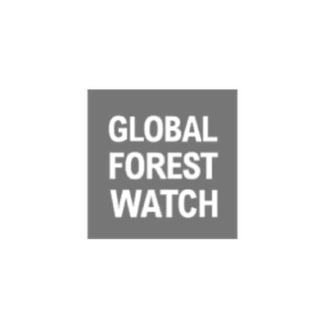 Global Forest Watch logo