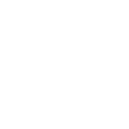 Virtual Doctors Logo