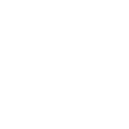Lush Cosmetics logo