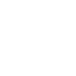 Child Brain Injury Trust logo