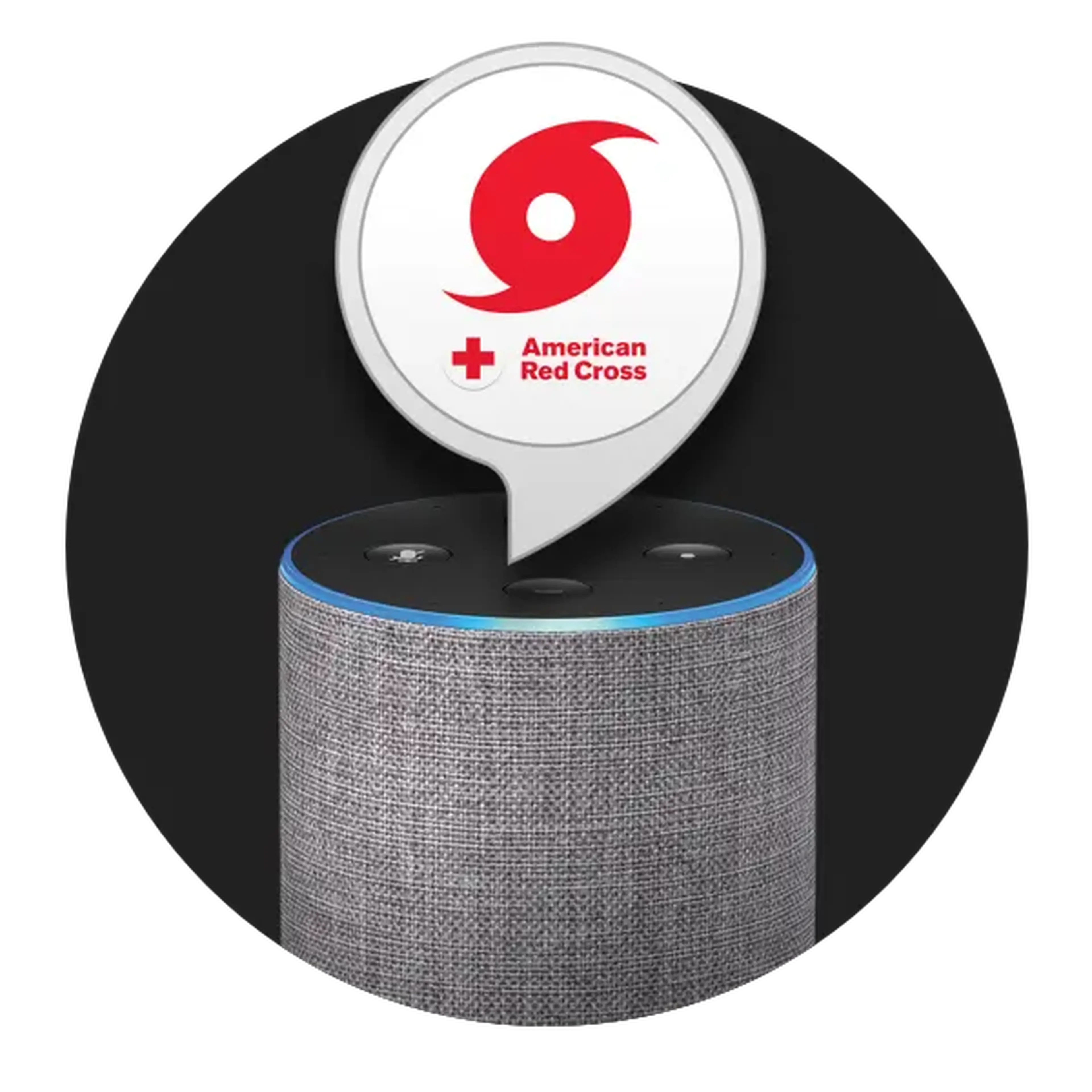 Alexa hero image