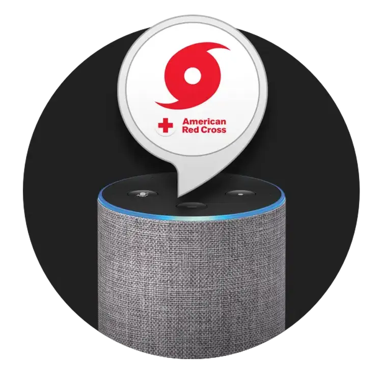 Alexa hero image