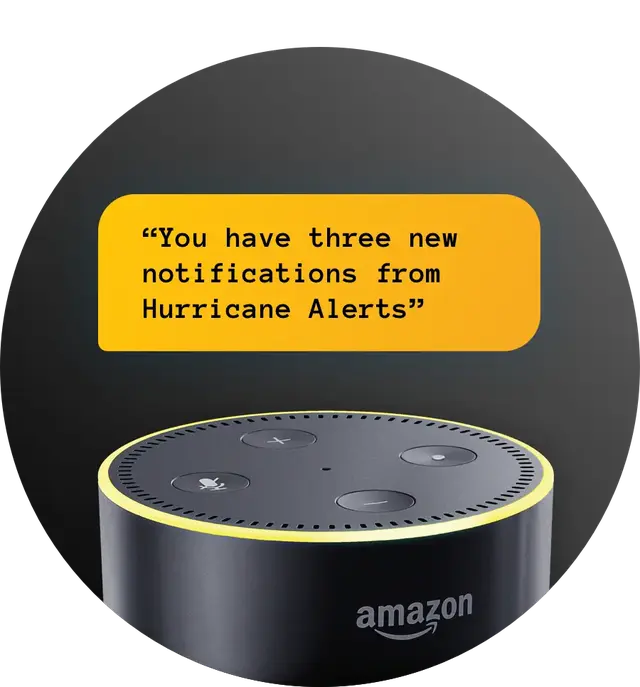 Alexa Alert