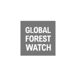 Global Forest Watch logo